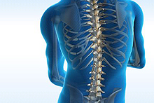 Spinal Injuries Orthopedics Tijuana